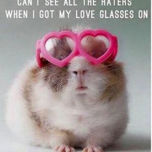 Meet your Posher, Pam